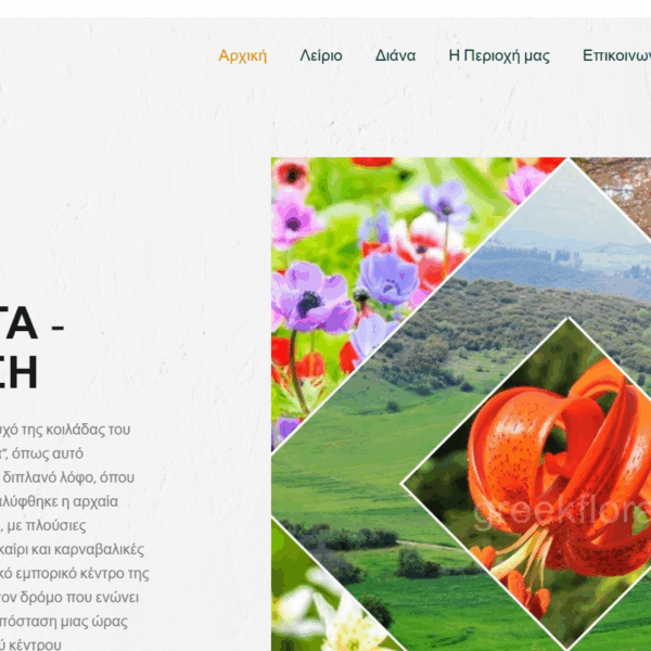 Ξενώνας Λείριο